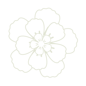 shape